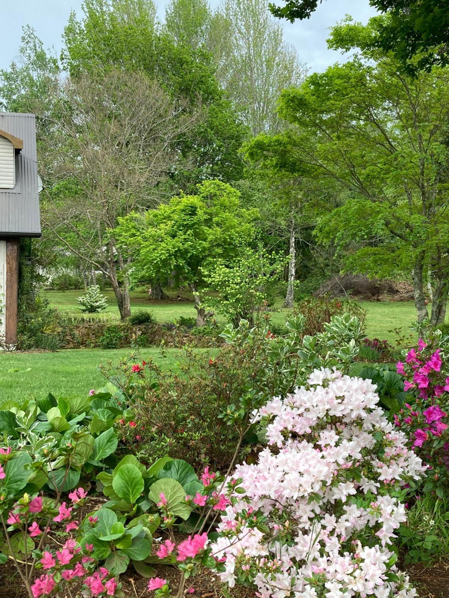 Bramber Cottage Hogsback, Living With Joy! Exterior photo