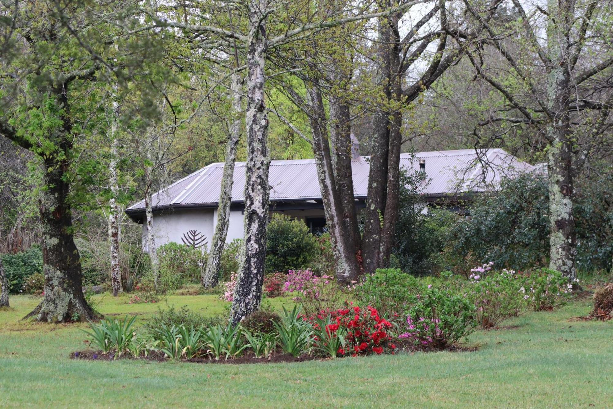 Bramber Cottage Hogsback, Living With Joy! Exterior photo